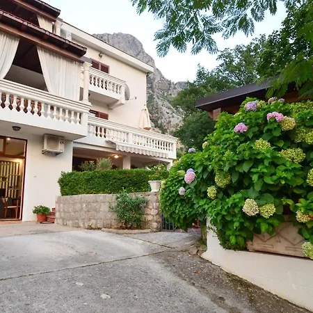 Djardin Kotor Exterior photo