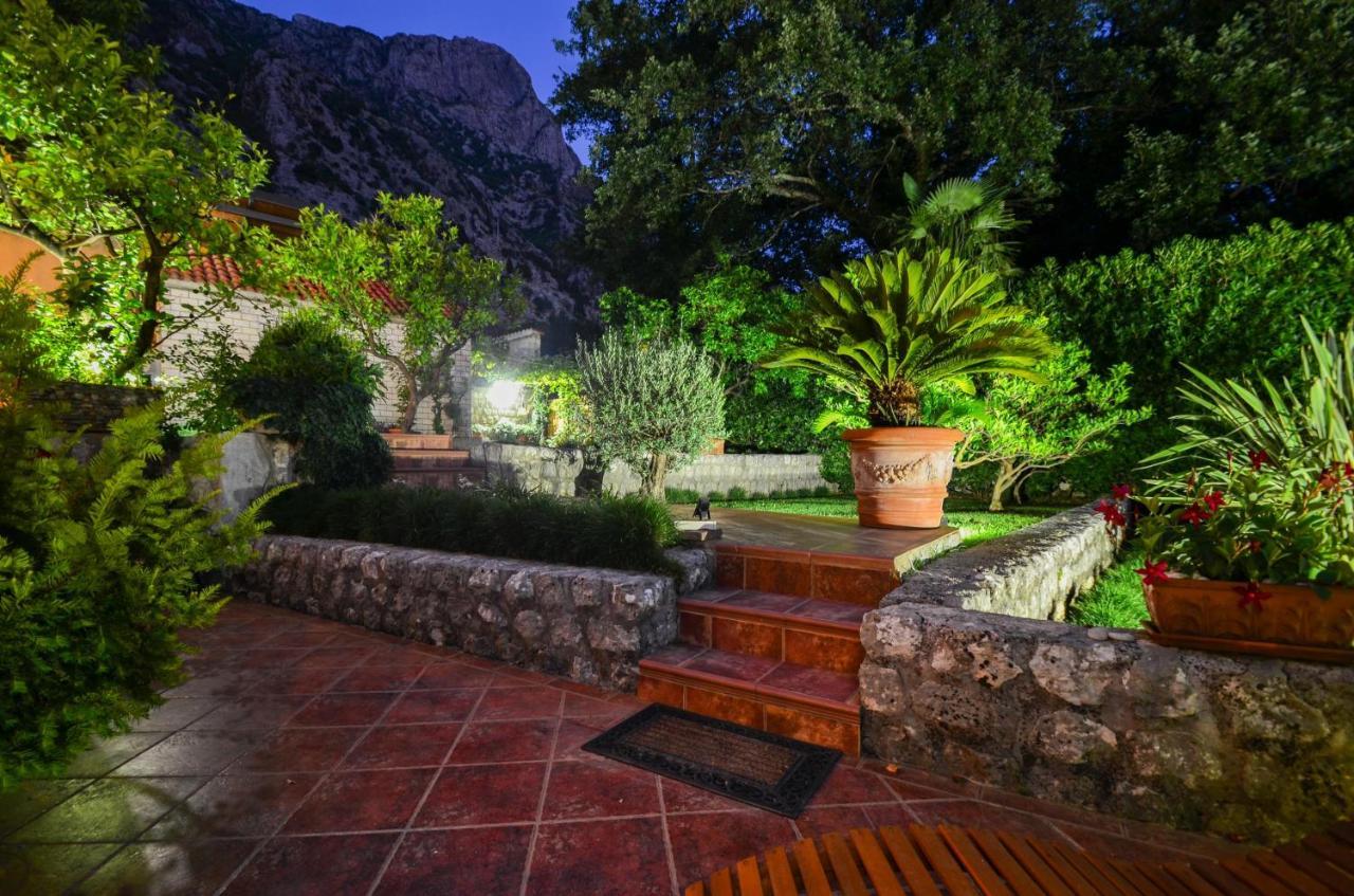 Djardin * Kotor